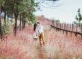 Dating After Divorce – How to Rebuild Your Love Life with Confidence